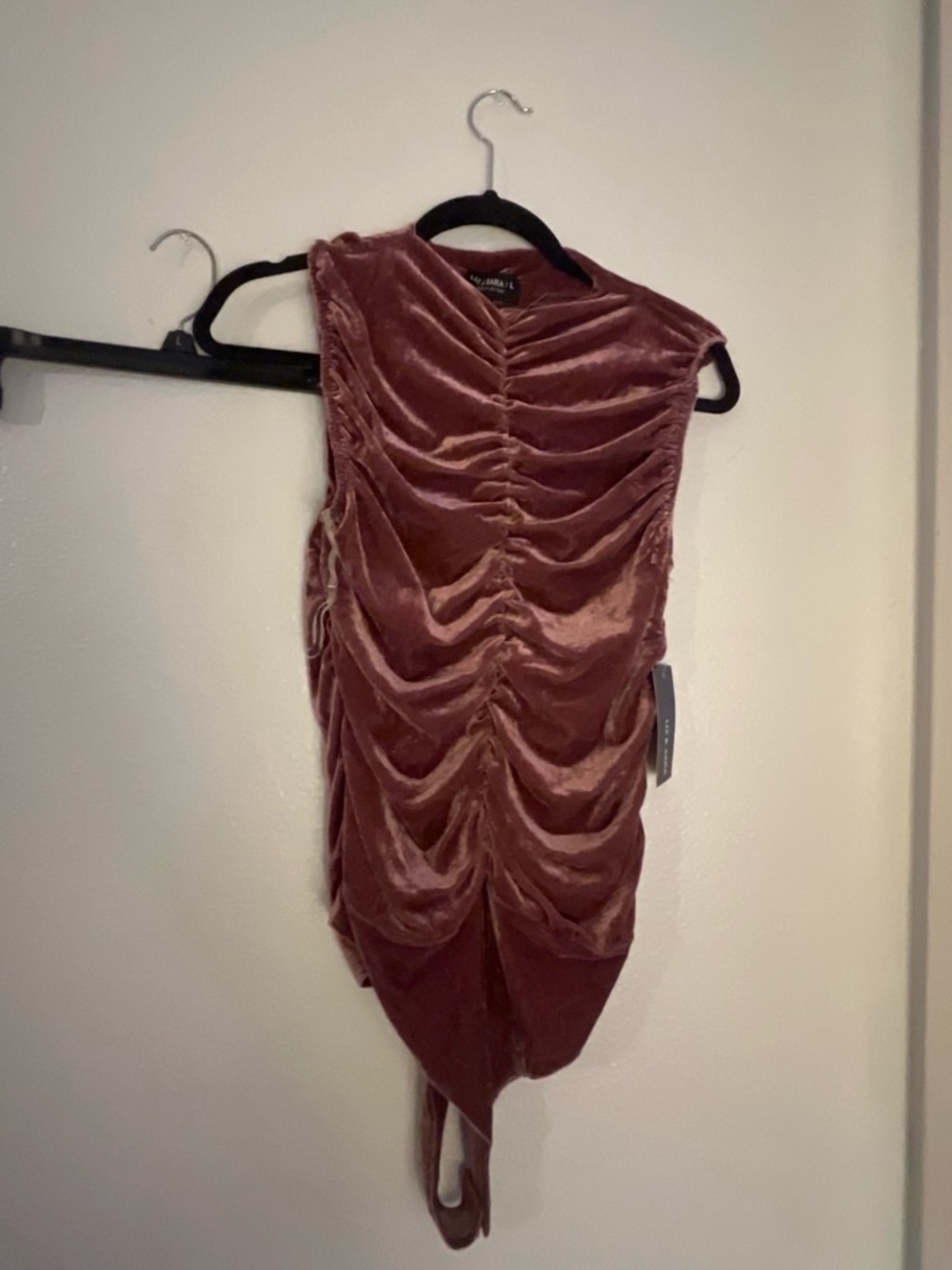 Ruched Velvet Sleeveless Bodysuit - Mauve